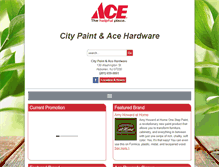 Tablet Screenshot of citypaintace.com